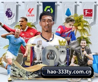 hao-333ty.com.cn APP 界面